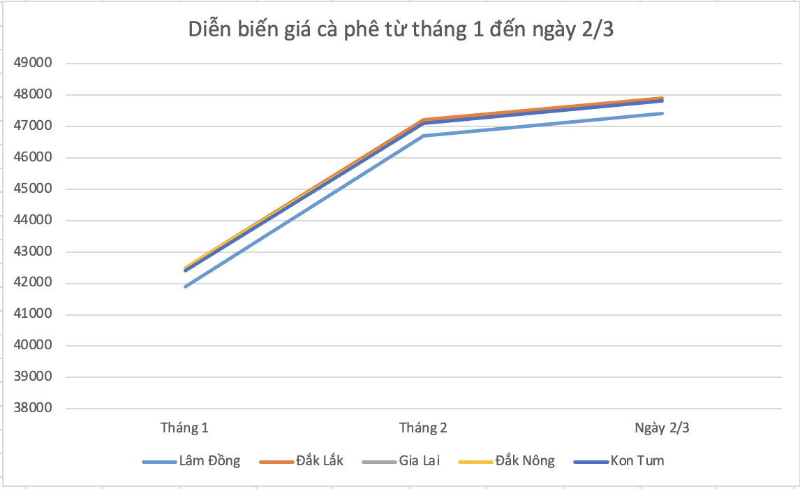 Giá cà phê hôm nay 2/3: Tiếp đà tăng 600 đồng/kg