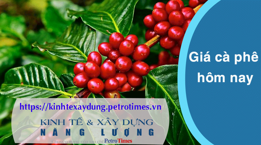 Giá cà phê hôm nay 17/3: Tăng mạnh, chạm mốc 93.000 đồng/kg