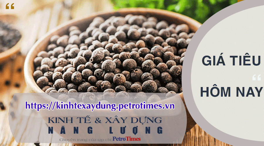 Giá tiêu hôm nay 30/3: Giá tiêu tiếp tục ngày thứ 6 đi ng Giá tiêu hôm nay 30/3: Tiếp tục chững lại