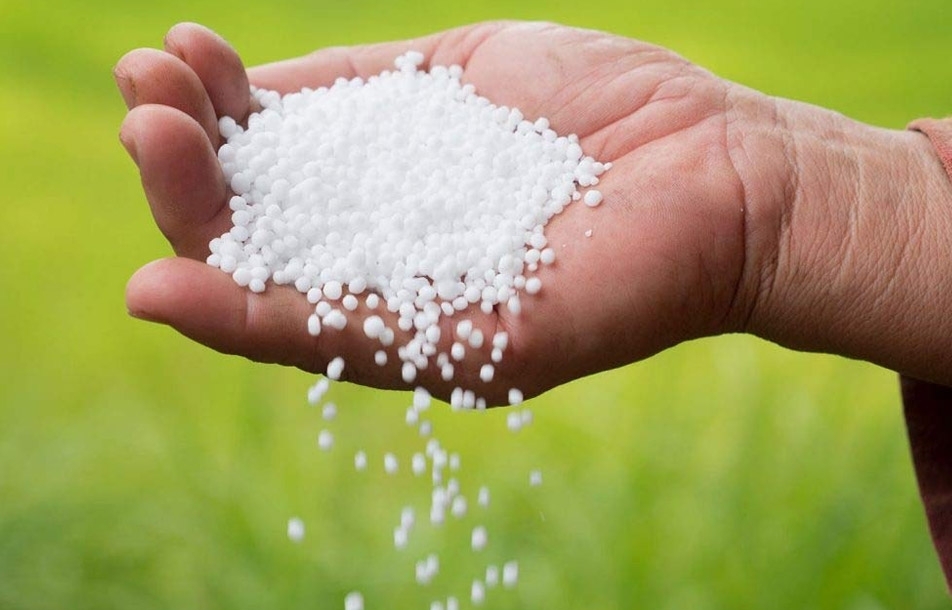 Giá phân bón hôm nay 4/4: Ure giảm Giá phân bón hôm nay 4/4: Ure giảm