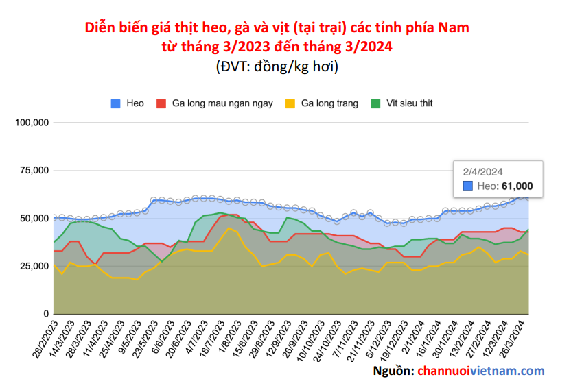 Giá heo hơi hôm nay ngày 13/4/2024: Tăng cao nhất 2.000 đồng/kg