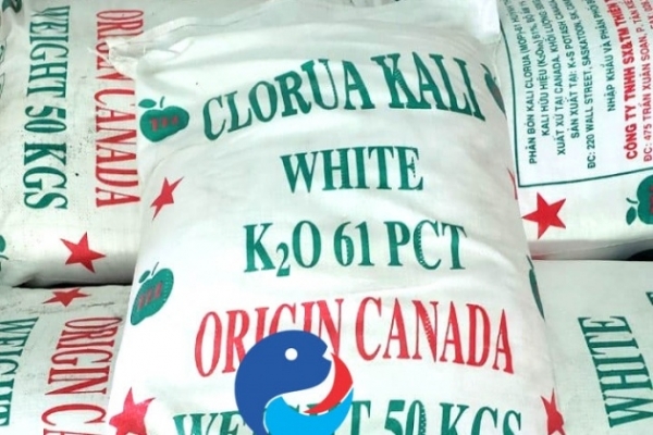 Giá phân bón ngày 12/5: Thị trường lặng sóng Giá phân bón ngày 12/5: Thị trường lặng sóng