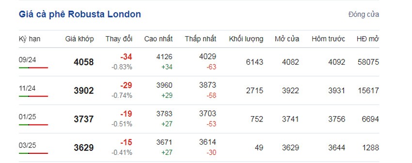 Giá cà phê hôm nay 4/7/2024: Giá cà phê hôm nay 4/7/2024:
