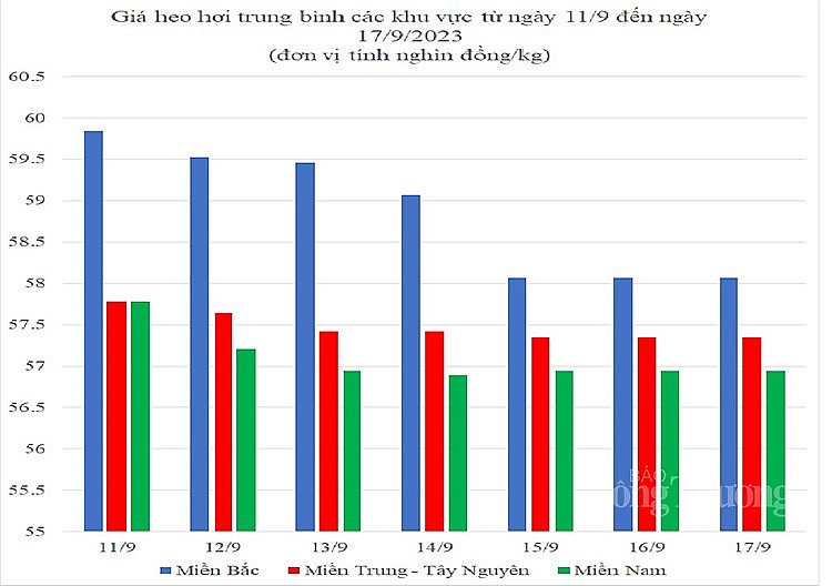 Giá heo hơi hôm nay ngày 17/9/2023: Lặng sóng ngày cuối tuần