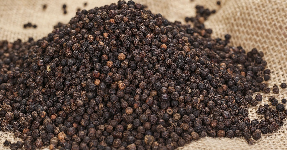 Giá tiêu hôm nay 6/10: Sản lượng vụ thu hoạch 2024 có thể giảm mạnh 15%