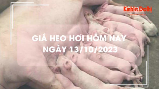 Giá heo hơi hôm nay 13/10/2023: Tiếp tục giảm
