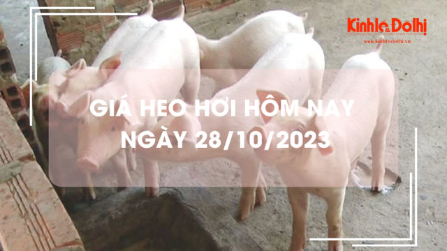 Giá heo hơi hôm nay 28/10/2023: Giảm 1.000 -  2.000 đồng/kg tại nhiều địa phương