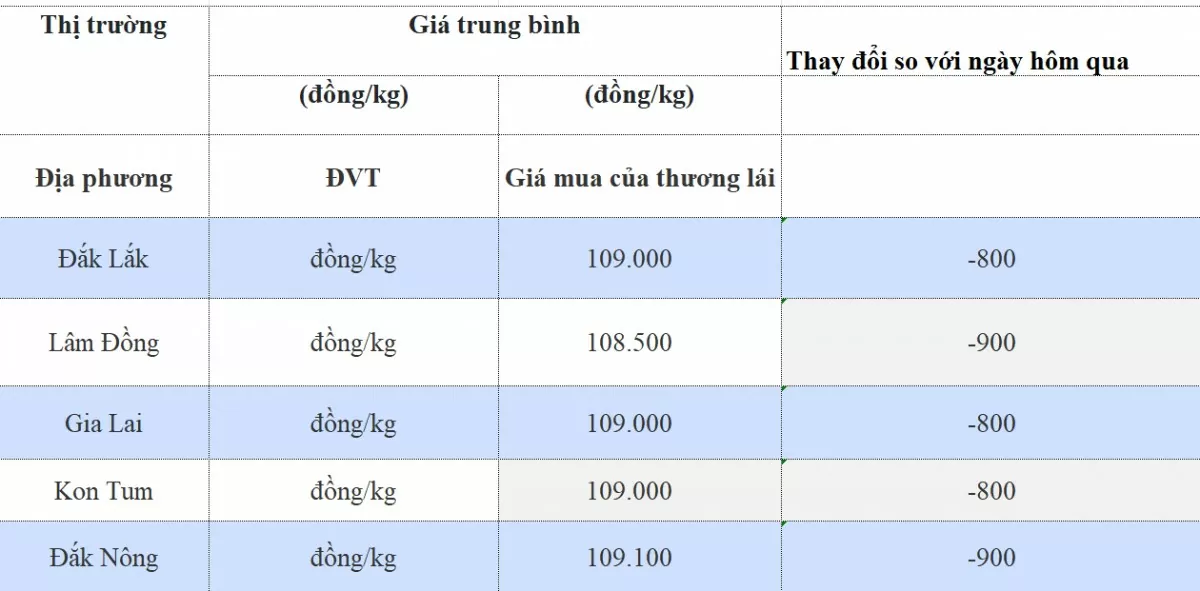 Giá cà phê hôm nay 2910 Thị trường trong nước giảm nhẹ