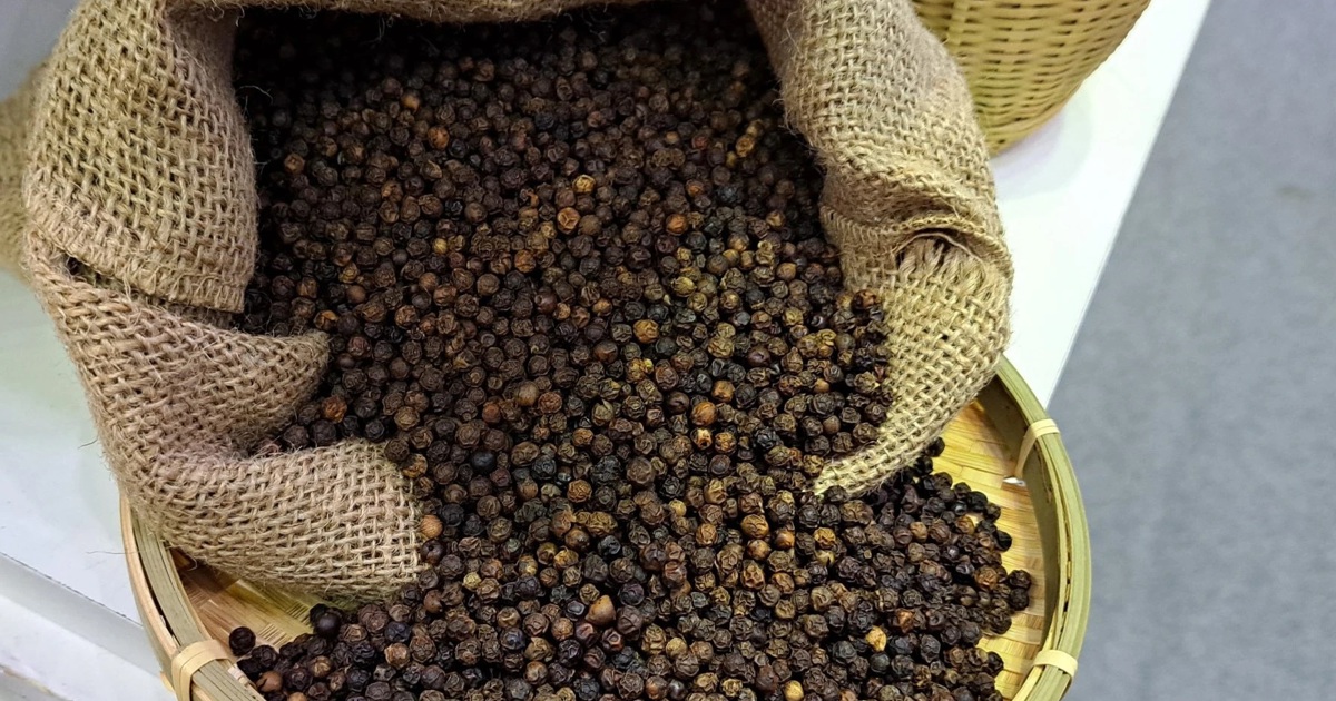 Giá tiêu hôm nay 15/11: Tăng 2 ngày liên tiếp, Tây Nguyên thêm 1.000 đồng/kg Giá tiêu hôm nay 15/11: Tăng 2 ngày liên tiếp, Tây Nguyên thêm 1.000 đồng/kg