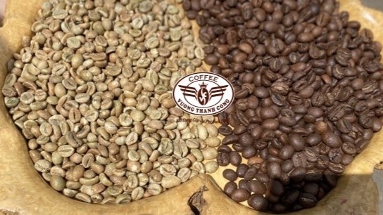 Giá cà phê hôm nay, 21/11/2023: Giá cà phê trong nước duy trì ổn định
