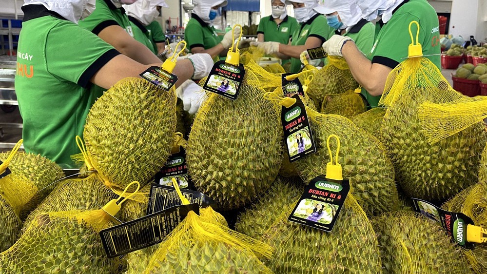 Vượt Mỹ, Trung Quốc thành khách hàng lớn nhất của nông sản Việt