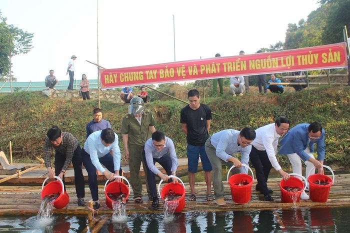Thả gần 2 tấn cá giống truyền thống tái tạo nguồn lợi thủy sản Thả gần 2 tấn cá giống truyền thống tái tạo nguồn lợi thủy sản