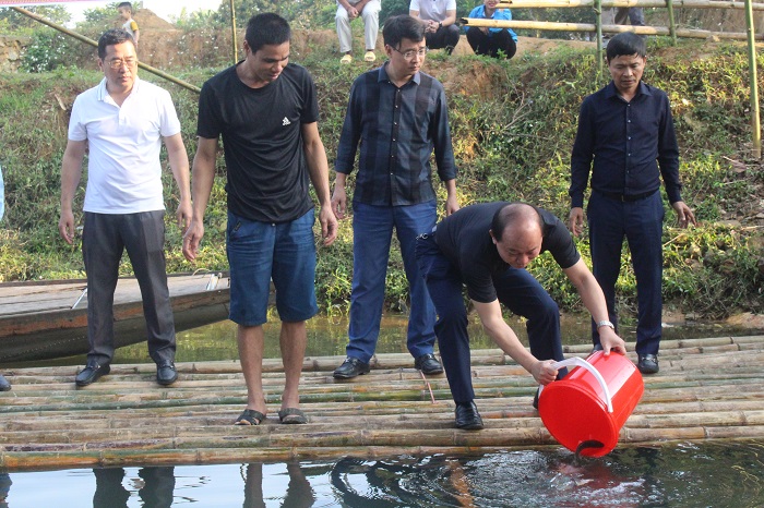 Thả gần 2 tấn cá giống truyền thống tái tạo nguồn lợi thủy sản Thả gần 2 tấn cá giống truyền thống tái tạo nguồn lợi thủy sản