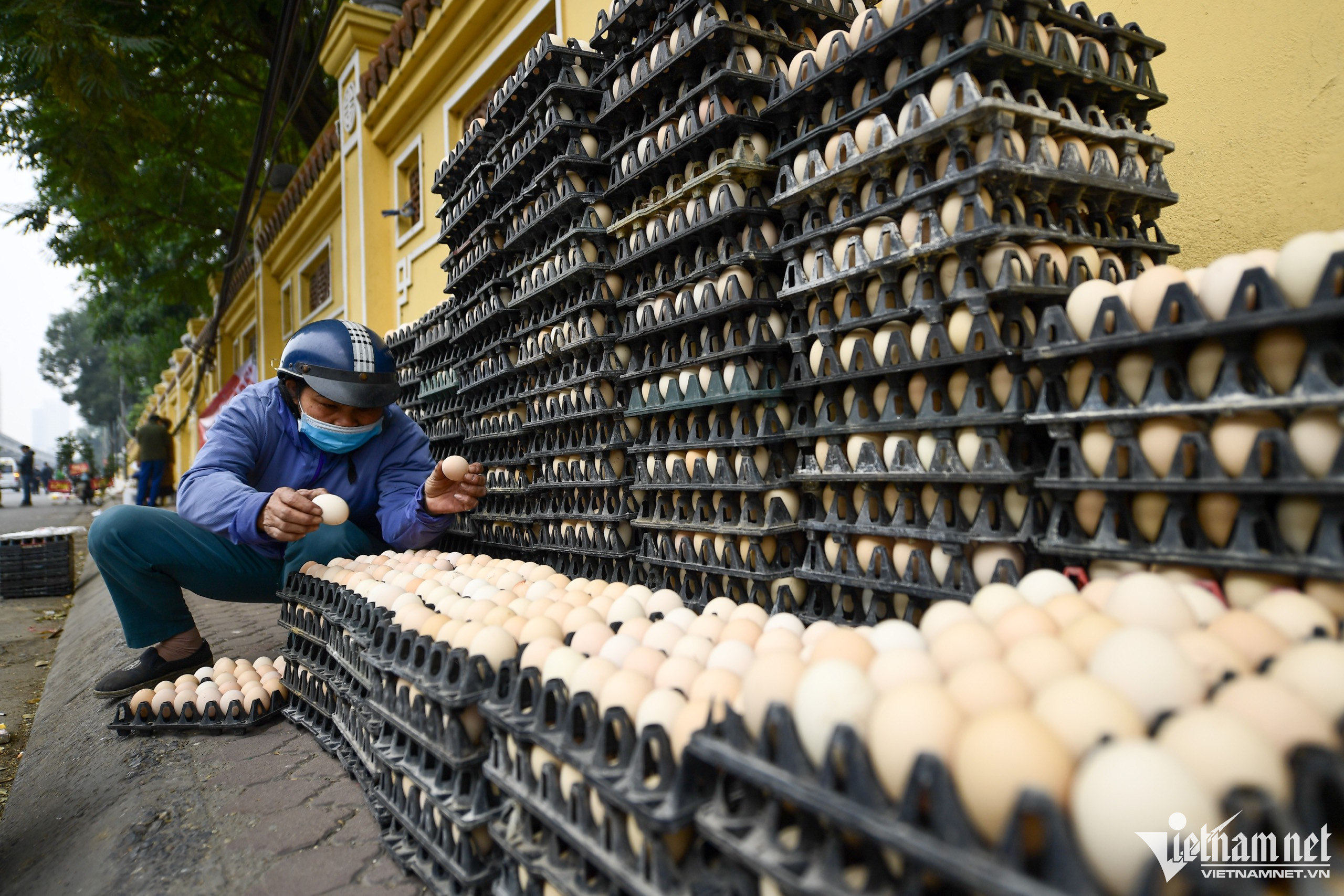 Chủ trang trại 2,5 vạn gà đẻ tiết lộ thời điểm giá trứng rẻ nhất năm Chủ trang trại 2,5 vạn gà đẻ tiết lộ thời điểm giá trứng rẻ nhất năm