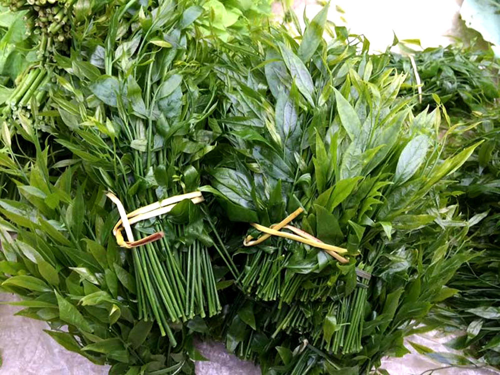 Rau rừng rủ nhau xuống chợ Thủ đô, có loại 180 nghìn/kg vẫn không đủ bán Rau rừng rủ nhau xuống chợ Thủ đô, có loại 180 nghìn/kg vẫn không đủ bán