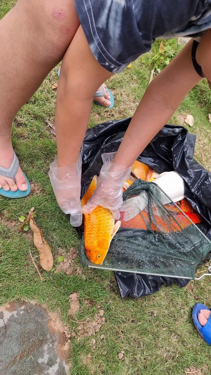 Nghệ sĩ Xuân Bắc thiệt hại khối "tài sản" lớn vì hành động tiết kiệm của con trai Nghệ sĩ Xuân Bắc thiệt hại khối "tài sản" lớn vì hành động tiết kiệm của con trai