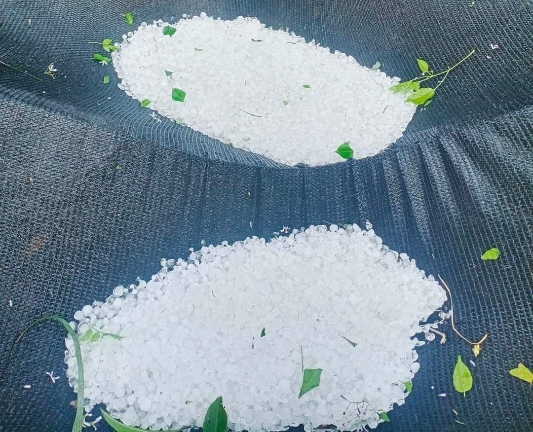 Mưa đá, lốc xoáy “càn quét” huyện miền núi Nghệ An Mưa đá, lốc xoáy “càn quét” huyện miền núi Nghệ An