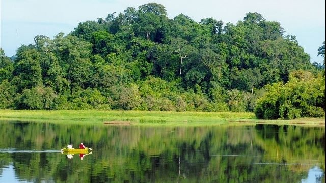 Ngày Rừng 2024: Đổi mới để phát triển sử dụng rừng bền vững