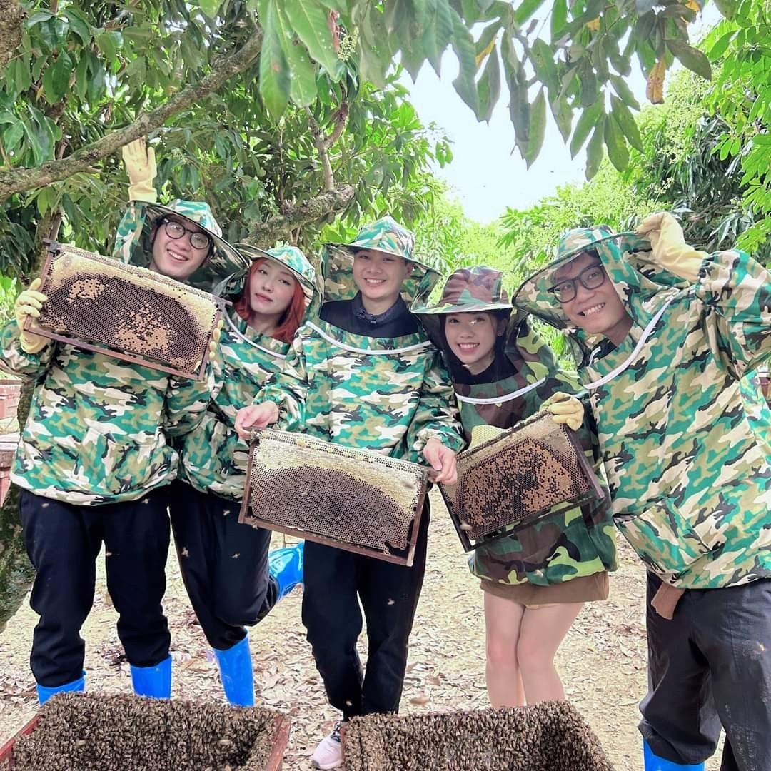 Độc đáo bán vải thiều nguyên cây ở Bắc Giang