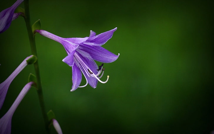 Tử vi ngày 18/5/2023: Tuổi Mão chớ vội bi quan, tuổi Dậu dễ bị lừa lọc Tử vi ngày 18/5/2023: Tuổi Mão chớ vội bi quan, tuổi Dậu dễ bị lừa lọc