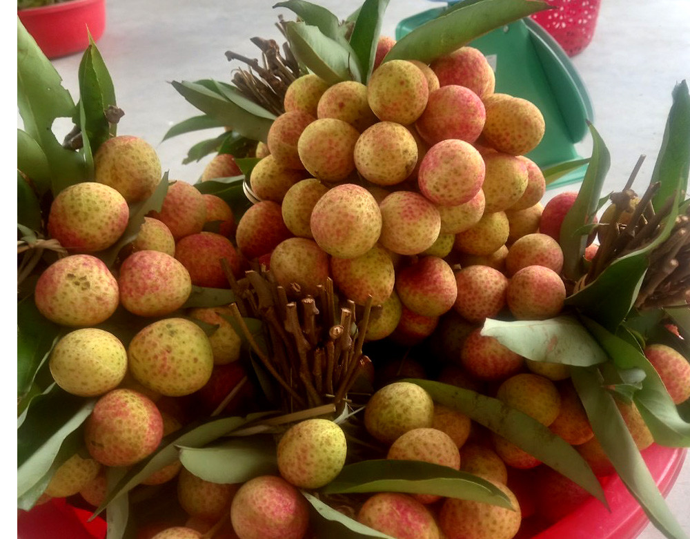 4 vạn tấn vải thiều chờ bán, có loại 90.000 đồng/kg người mua vẫn "xếp hàng"