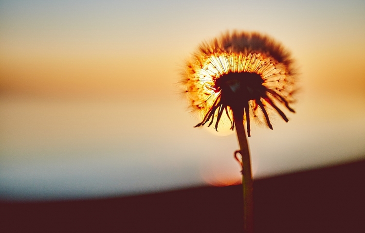 Tử vi ngày 22/5/2023: Tuổi Thìn suy nghĩ bi quan, tuổi Dậu đón điều tốt đẹp Tử vi ngày 22/5/2023: Tuổi Thìn suy nghĩ bi quan, tuổi Dậu đón điều tốt đẹp