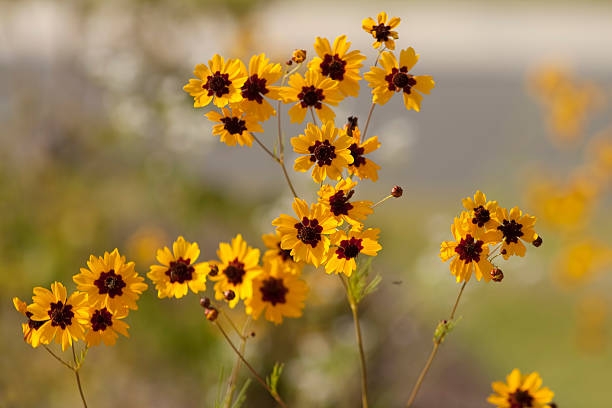 Tử vi ngày 27/5/2023: Tuổi Thìn tiền đẻ ra tiền, tuổi Thân sắp có tin vui Tử vi ngày 27/5/2023: Tuổi Thìn tiền đẻ ra tiền, tuổi Thân sắp có tin vui