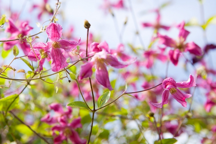 Tử vi ngày 28/5/2023: Tuổi Tý được đánh giá cao, tuổi Ngọ chớ quá tin người Tử vi ngày 28/5/2023: Tuổi Tý được đánh giá cao, tuổi Ngọ chớ quá tin người