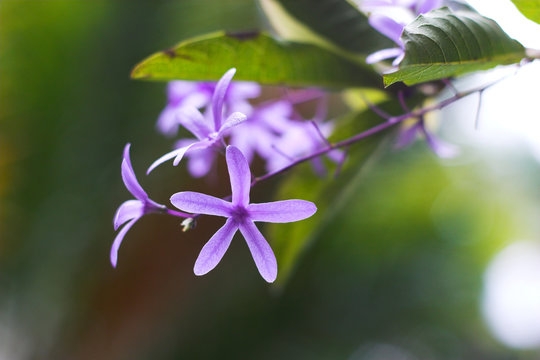 Tử vi ngày 31/5/2023: Tuổi Tý làm gì cũng thuận, tuổi Mão dễ gặp hung hiểm