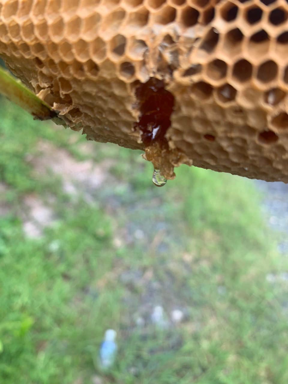 Shark Bình vừa lộ clip cầu hôn Phương Oanh, vợ cũ có động thái đáng chú ý Shark Bình vừa lộ clip cầu hôn Phương Oanh, vợ cũ có động thái đáng chú ý