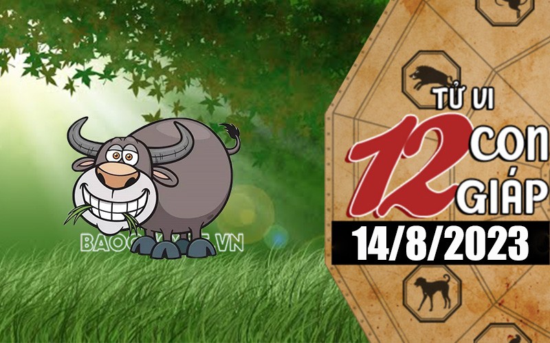 Tử vi hôm nay, xem tử vi 12 con giáp hôm nay ngày 14/8/2023: Tuổi Dậu tình cảm thay đổi tích cực Tử vi hôm nay, xem tử vi 12 con giáp hôm nay ngày 14/8/2023: Tuổi Dậu tình cảm thay đổi tích cực