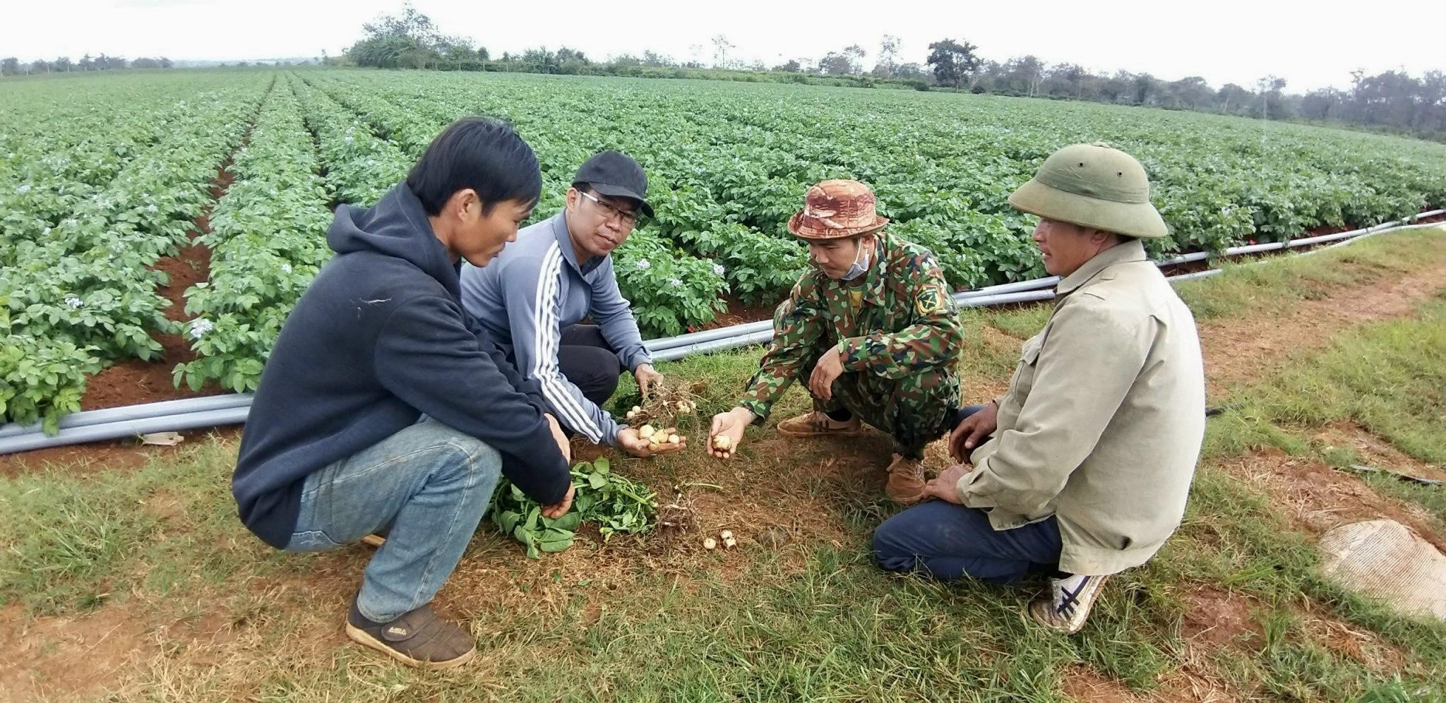 Bayer và Pepsico Việt Nam hợp tác thúc đẩy canh tác bền vững Bayer và Pepsico Việt Nam hợp tác thúc đẩy canh tác bền vững