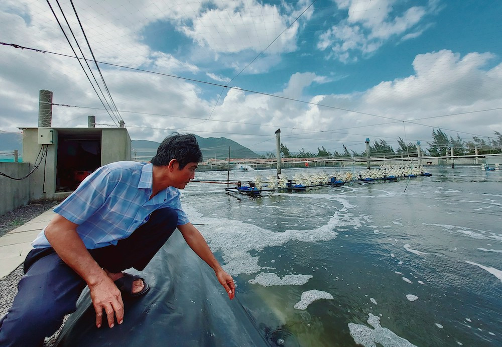 Ứng dụng công nghệ cao, nông dân Bình Định thu triệu USD từ nuôi tôm anh 1.jpg