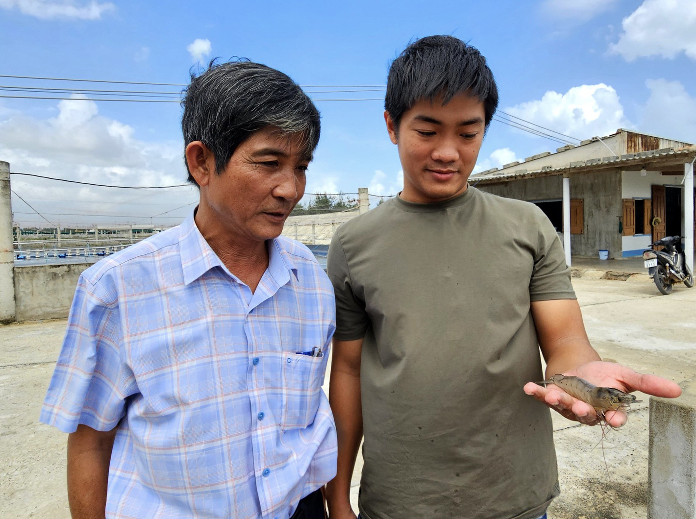 Ứng dụng công nghệ cao, nông dân Bình Định thu triệu USD từ nuôi tôm anh 4.jpg