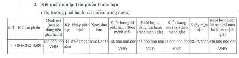 Năng lượng Tái Tạo Đại Dương điều chỉnh lãi suất lô trái phiếu 468 tỷ - Ảnh 2