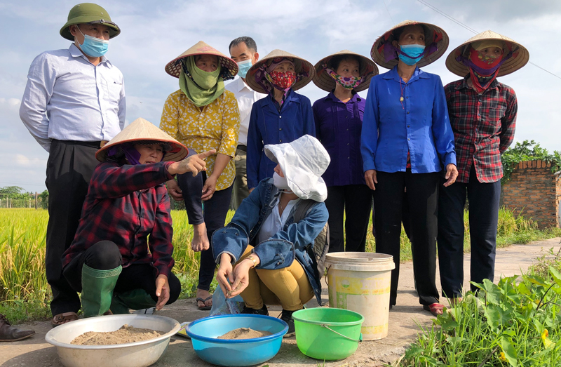 Giá phân bón hôm nay 4/1: Neo ở mức cao