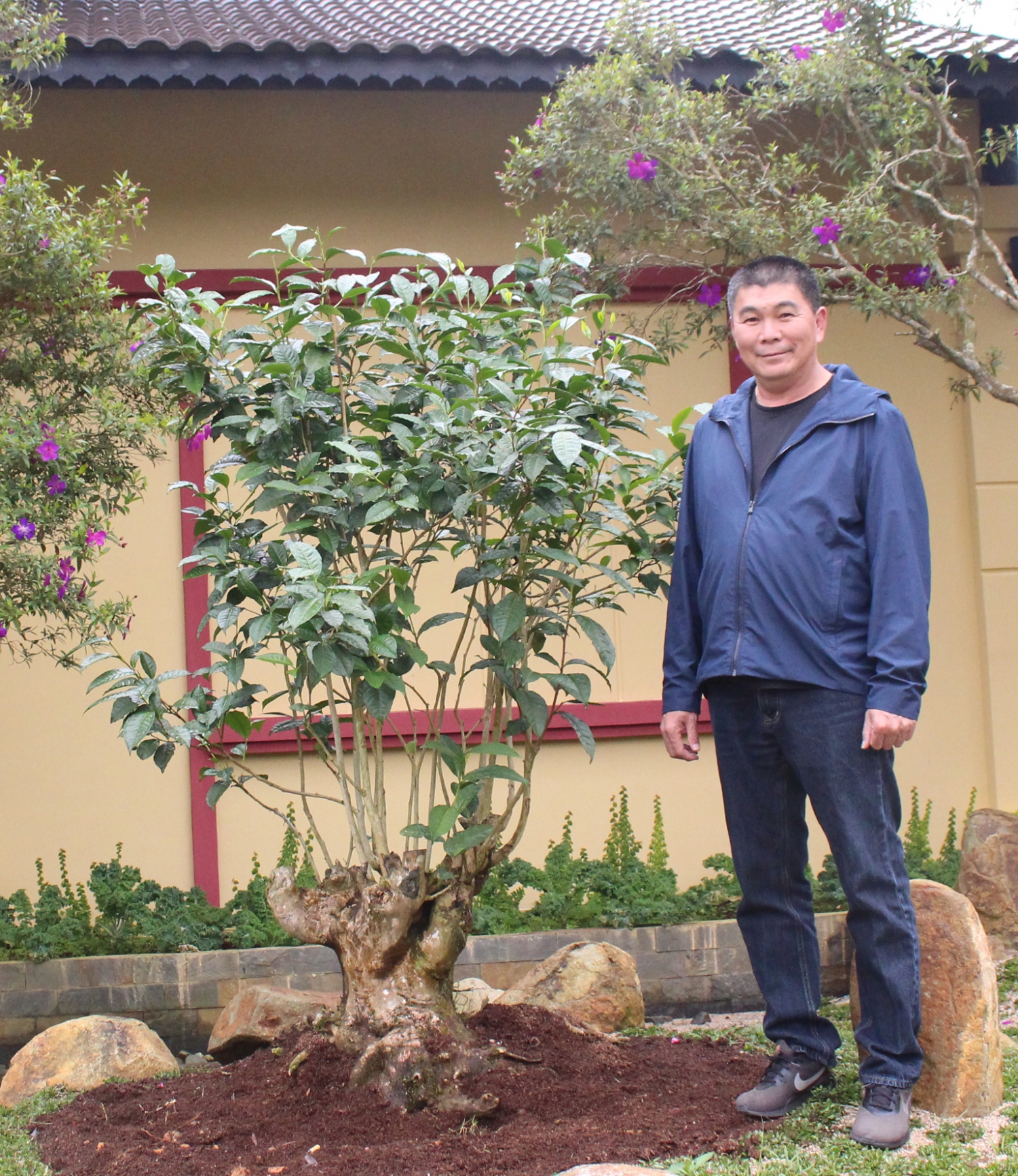 Bảo tàng trà Long Đỉnh Bảo tàng trà Long Đỉnh