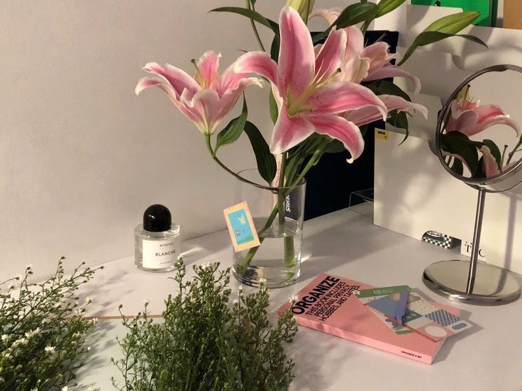 Tử vi 12 con giáp ngày 22/1/2023: Tuổi Mão tập trung công việc, tuổi Thân tài chính thuận lợi