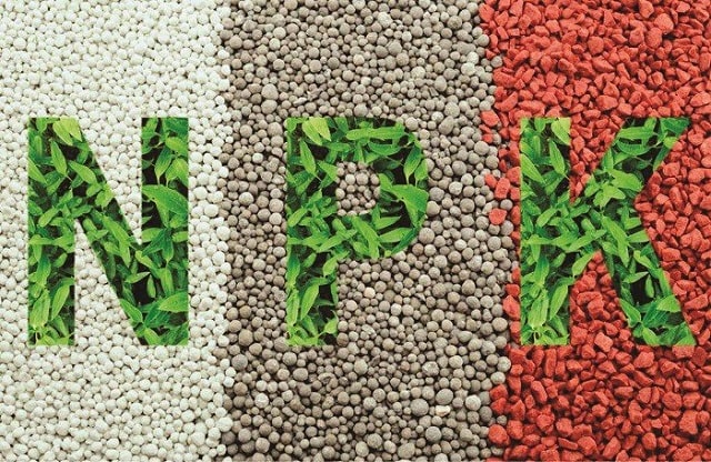 Giá phân bón hôm nay 27/1: Ổn định sau dịp nghỉ tết nguyên đán