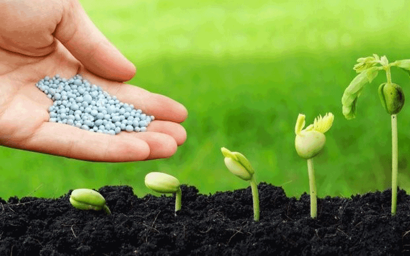 Giá phân bón hôm nay 28/1: Chưa có sự biến động