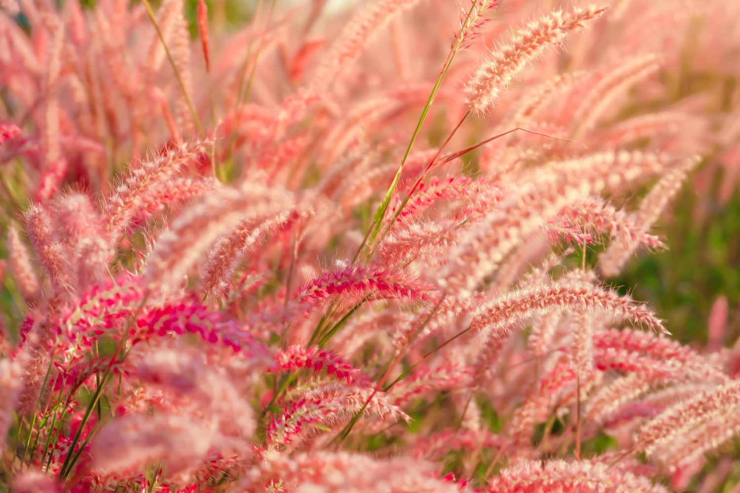 Tử vi ngày 30/1/2023: Tuổi Sửu nhiều điều như ý, tuổi Hợi gặp được quý nhân