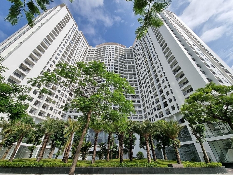 Tin bất động sản ngày 17/8: Bàn giao nhà chưa đủ điều kiện, chủ dự án Tecco Diamond bị phạt 90 triệu đồng Tin bất động sản ngày 17/8: Bàn giao nhà chưa đủ điều kiện, chủ dự án Tecco Diamond bị phạt 90 triệu đồng