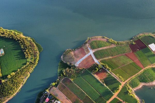 Tin bất động sản ngày 17/8: Bàn giao nhà chưa đủ điều kiện, chủ dự án Tecco Diamond bị phạt 90 triệu đồng Tin bất động sản ngày 17/8: Bàn giao nhà chưa đủ điều kiện, chủ dự án Tecco Diamond bị phạt 90 triệu đồng