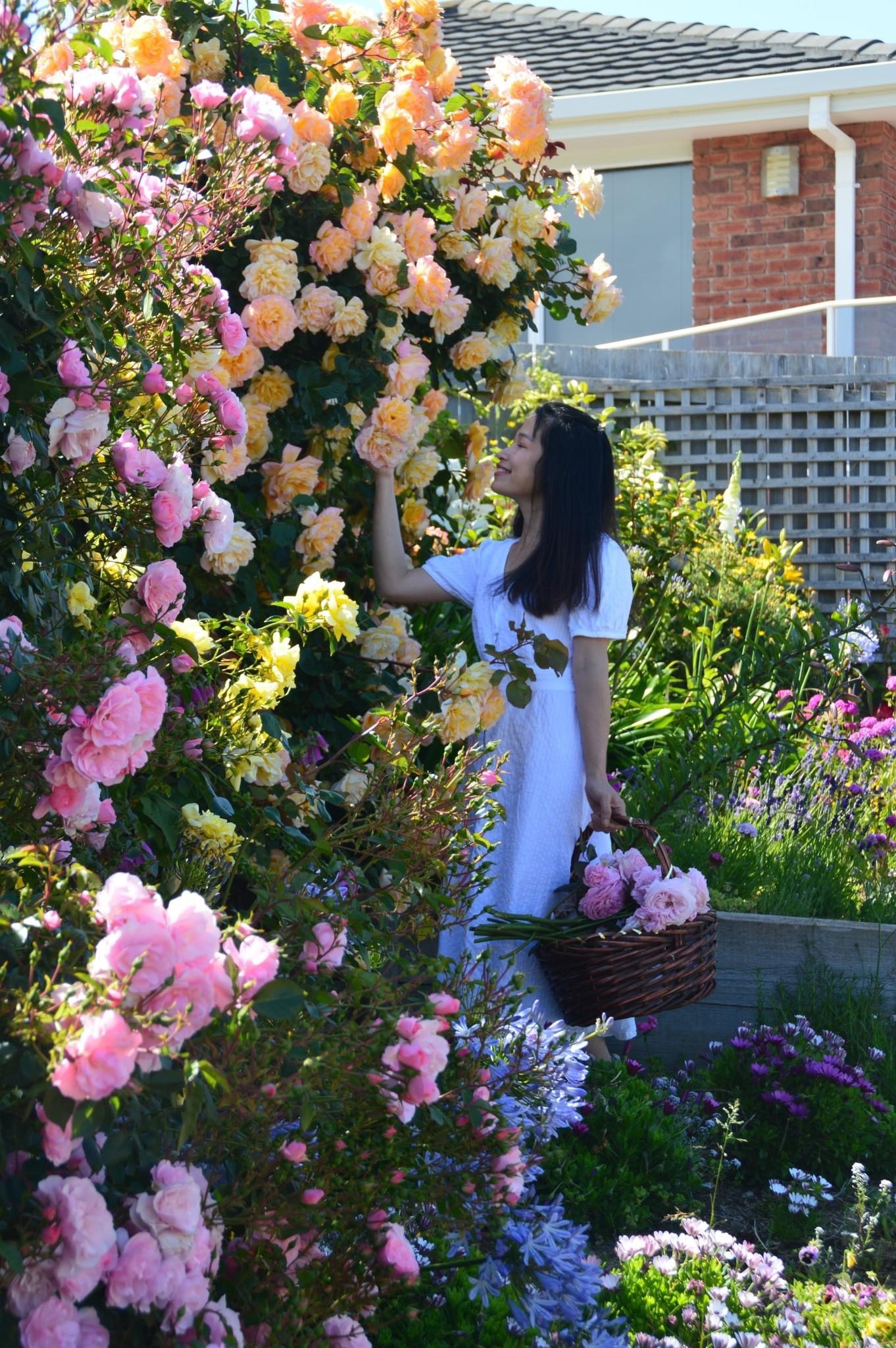 Luyến Morrison - Gửi trọn niềm đam mê với nước hoa hồng Puretas Luyến Morrison - Gửi trọn niềm đam mê với nước hoa hồng Puretas