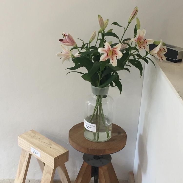 Tử vi 12 con giáp ngày 10/9/2022: Tuổi Dậu nhiều tài lộc, tuổi Dần công việc không thuận