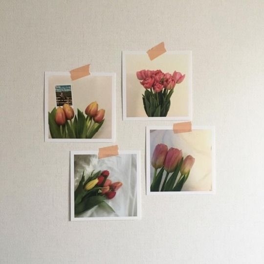 Tử vi 12 con giáp ngày 15/9/2022: Tuổi Dần kinh tế ổn định, tuổi Dậu không may mắn