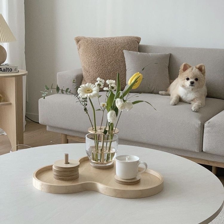 Tử vi 12 con giáp ngày 17/9/2022: Tuổi Mão gây gổ tranh cãi, tuổi Tỵ tài lộc may mắn