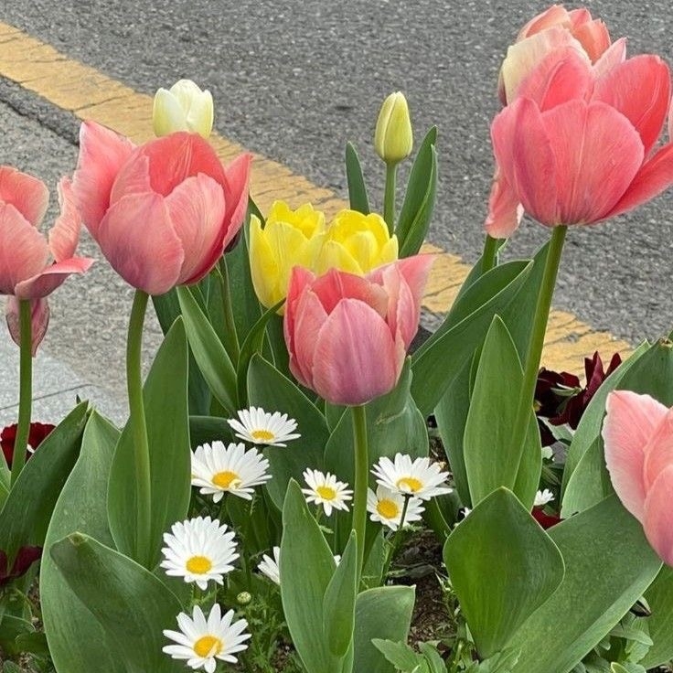 Tử vi 12 con giáp ngày 19/9/2022: Tuổi Ngọ dễ gây mâu thuẫn, tuổi Tý yên bình