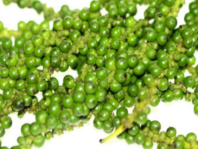 Giá tiêu hôm nay 19/9: Thu mua cao nhất ở mức 67.500 đồng/kg