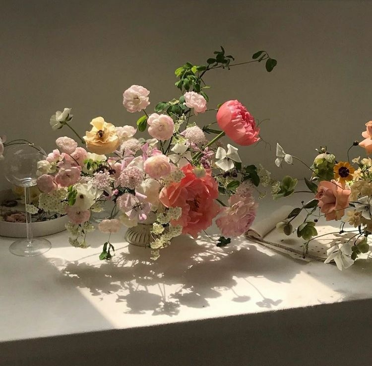 Tử vi 12 con giáp ngày 23/9/2022: Tuổi Dần tràn đầy năng lượng, tuổi Mão khó tập trung